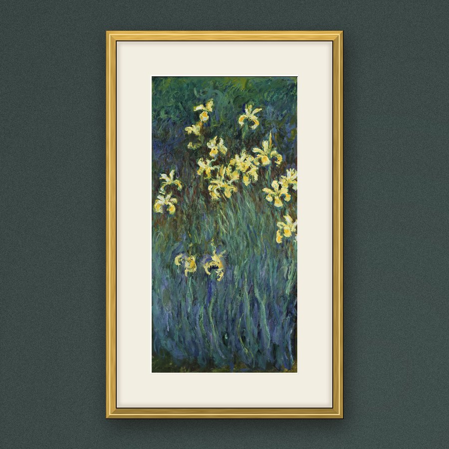 Monet’s Yellow Irises in a slim gold frame with an ivory mount, on a dark green wall