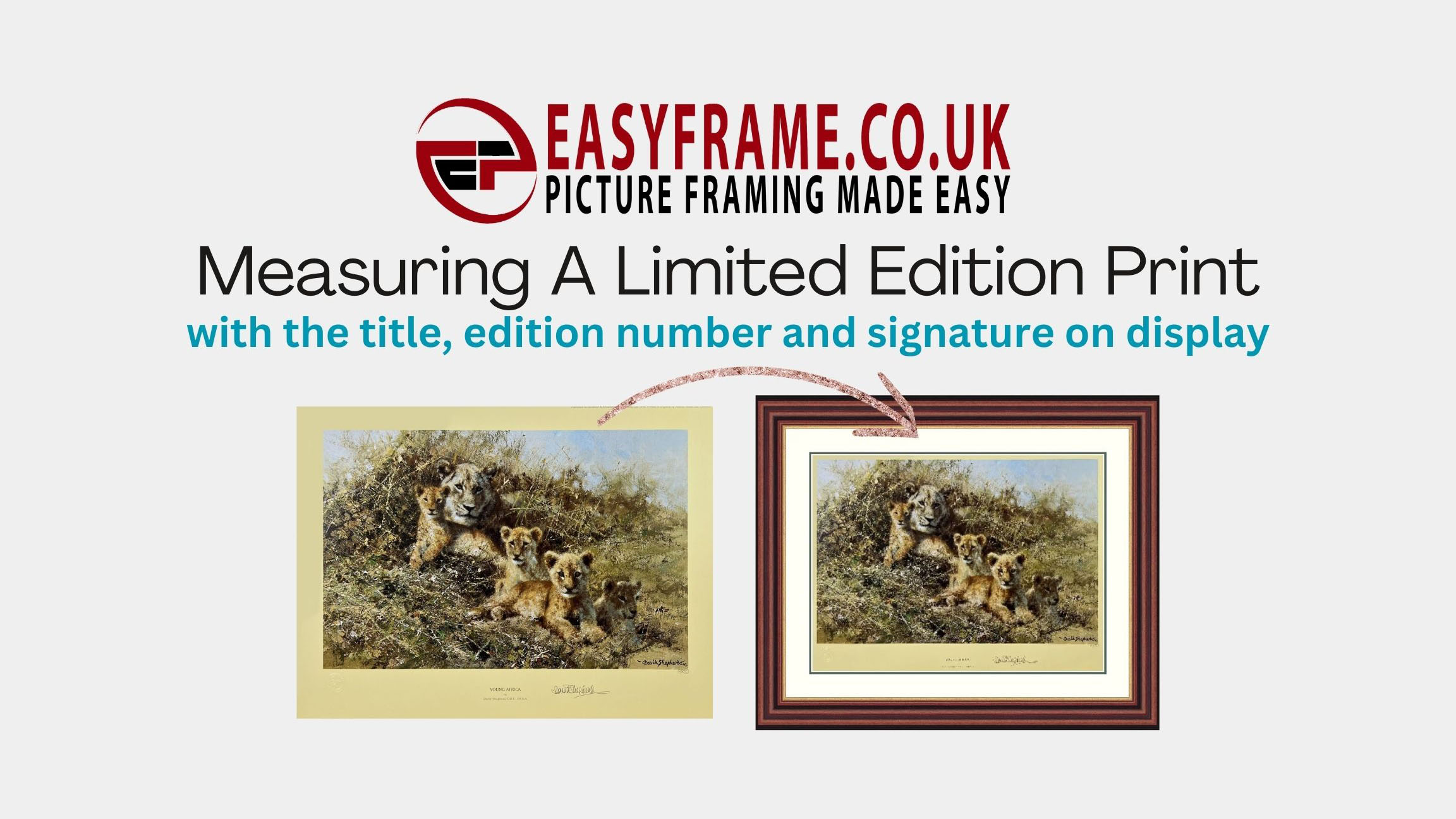 How To... Measure a Limited Edition Print