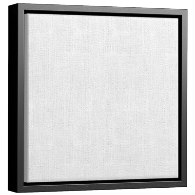 canvas floater and tray frames