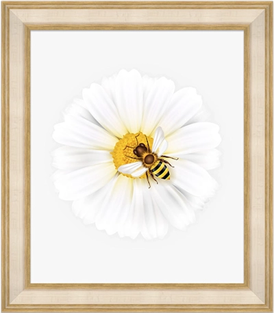 Hampshire Ivory Gold Frame