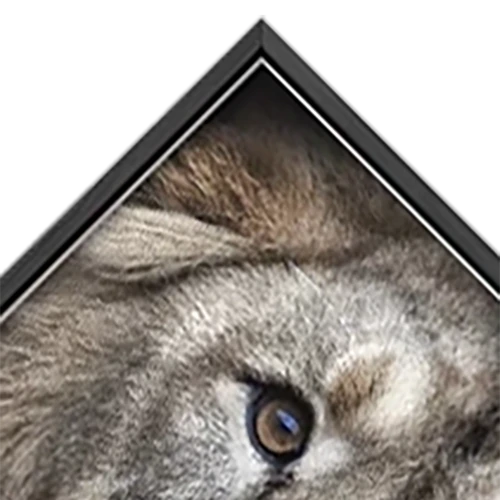 Inset Frames