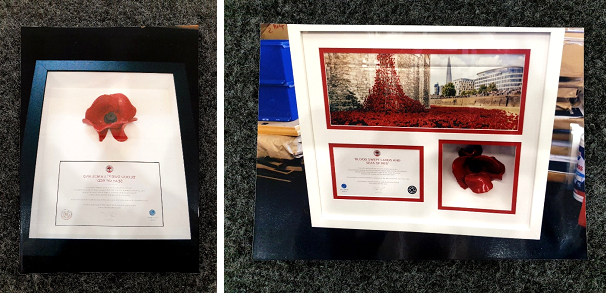 Framed Poppy