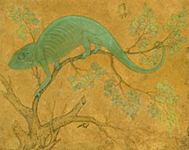 Indian Chameleon (ca 1612)