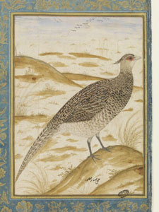 Cheer Pheasant (ca 1620)