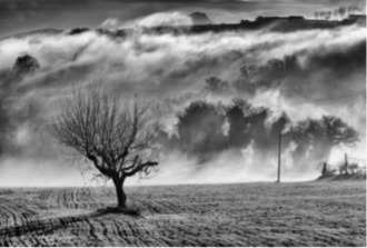 black and white photography