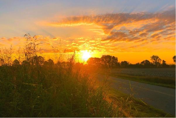 Sunset image