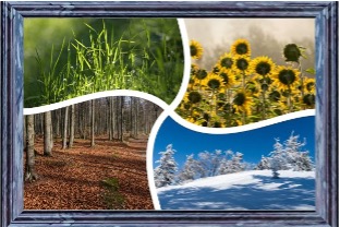 multi collage picture frame