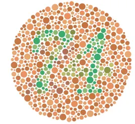 This is a typical Ishihara colour test-plate, part of a diagnostic test used around the world. If you see a 74 then your colour-vision should be normal. If you are pretty colour-blind then youll see a 21. But if you see no number then youre reassuringly as useless as me.