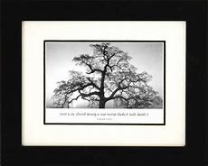 framed tree picture