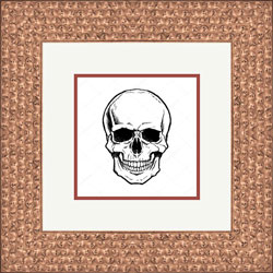Bronze Skull Frame Moulding